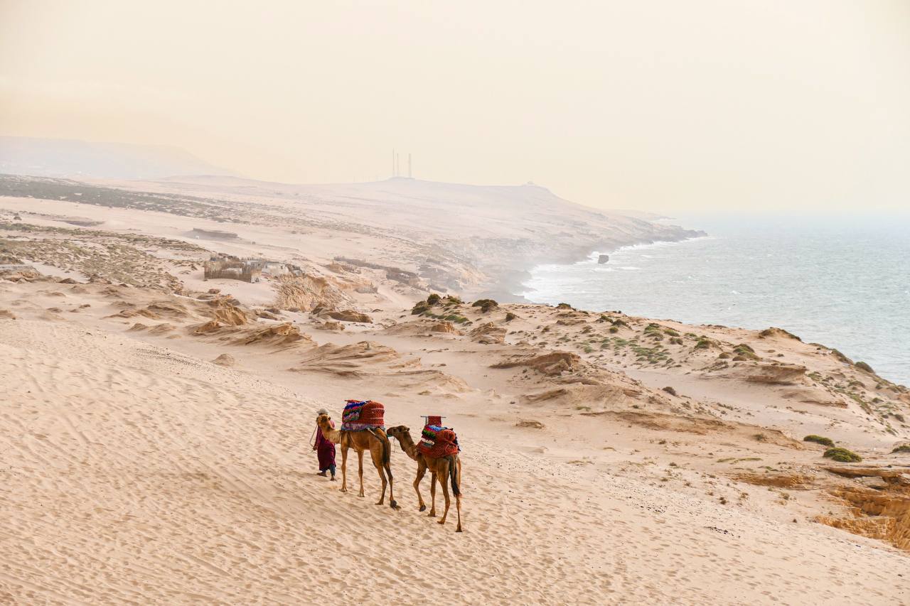 Sandboarding gallery image 6