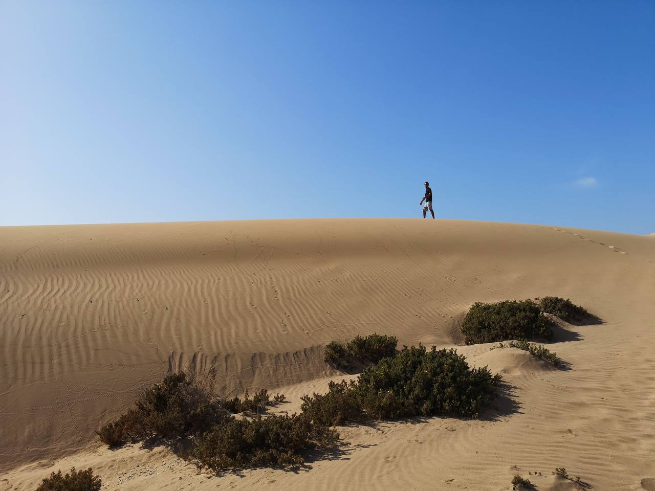 Sandboarding gallery image 7